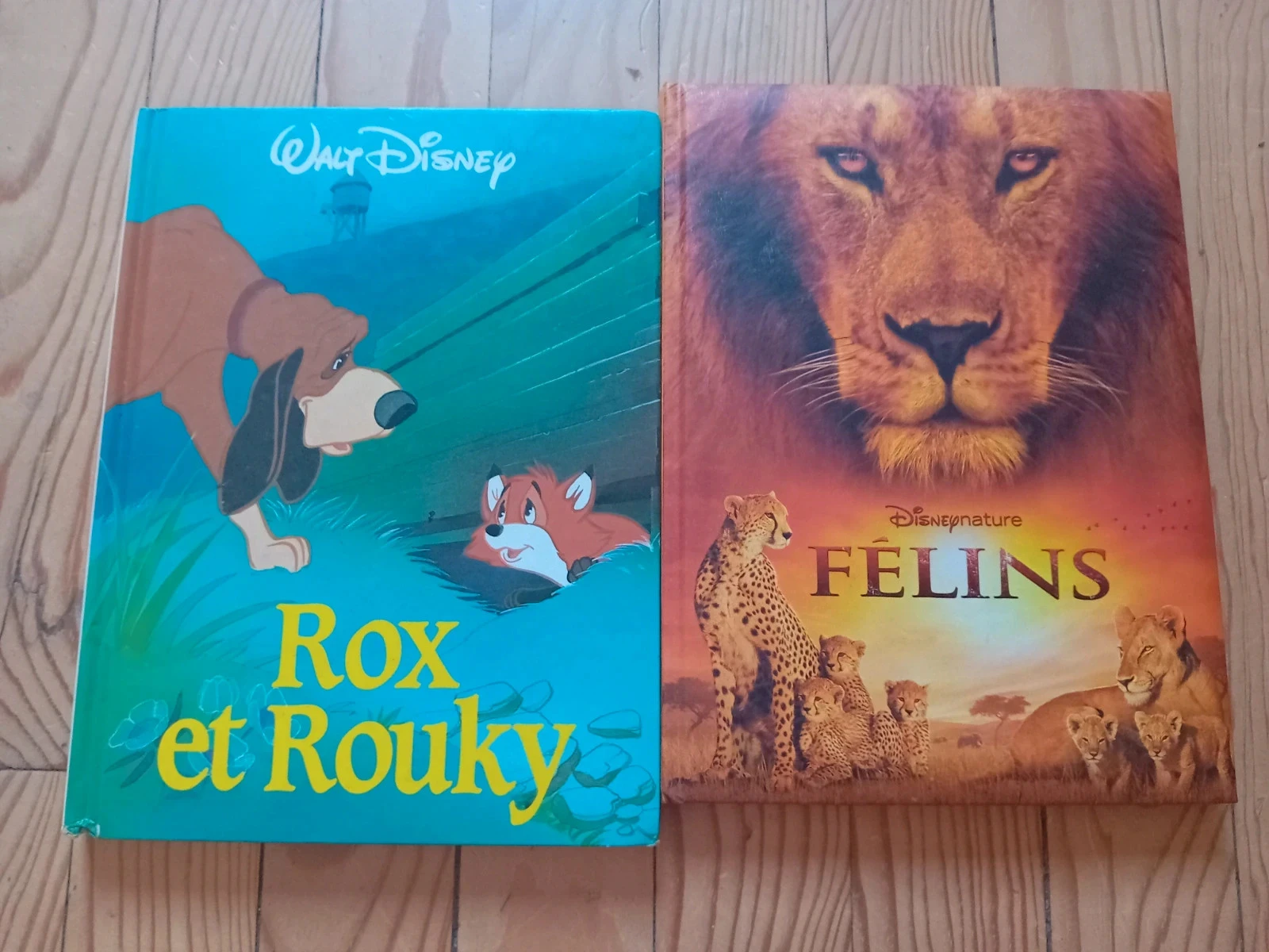 Lot d'album Disney – photo 2